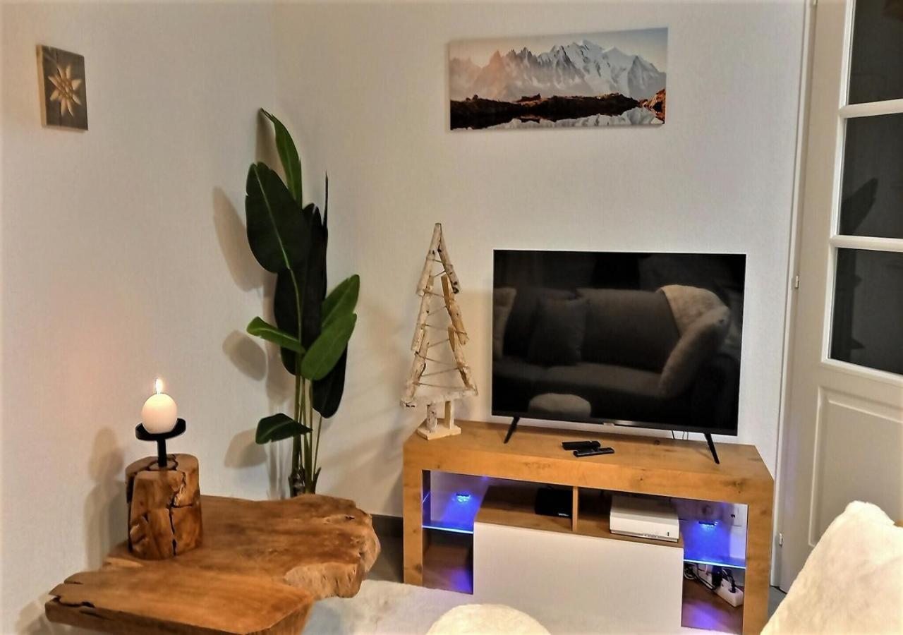 Snow Home By So'Serenityhome-Jardin-Parking-Calme Marignier Eksteriør bilde